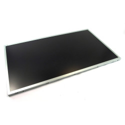 LCD AUO M195RTN01.1, LEDS